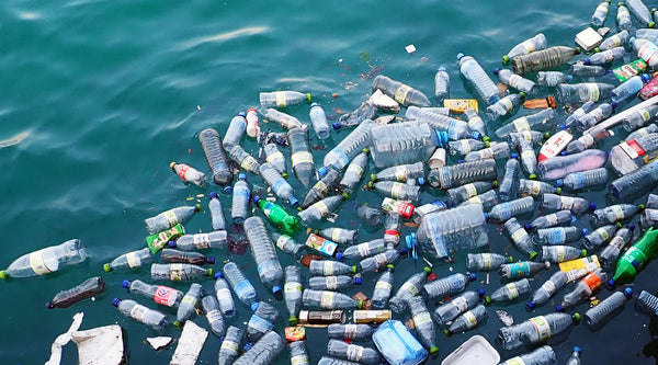 8 ways you can reduce the amount of plastic in our ocean