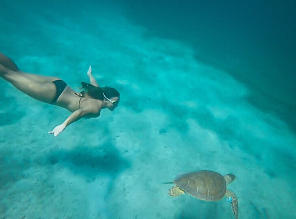 Swimming with turtles in Australia