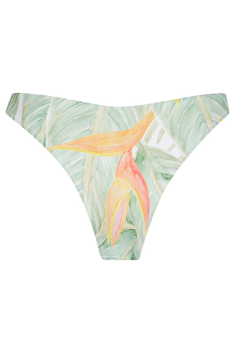 Paradise V Front Bottom